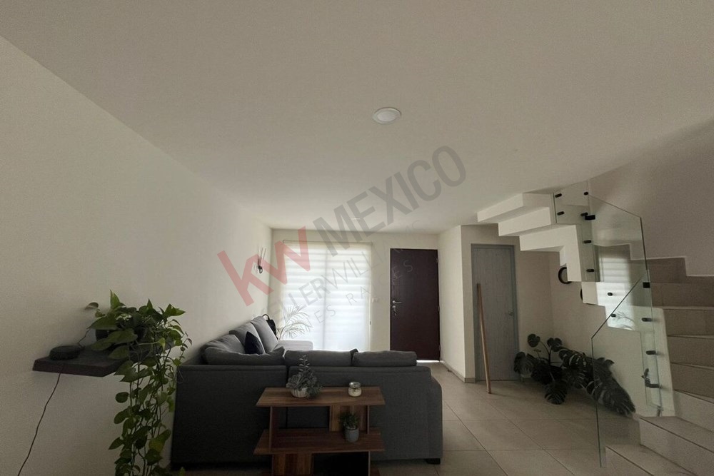 Imagen 4 de 5