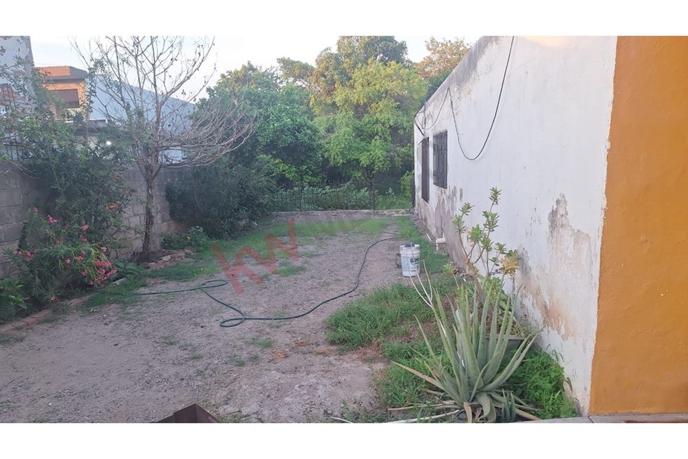 Imagen 4 de 5