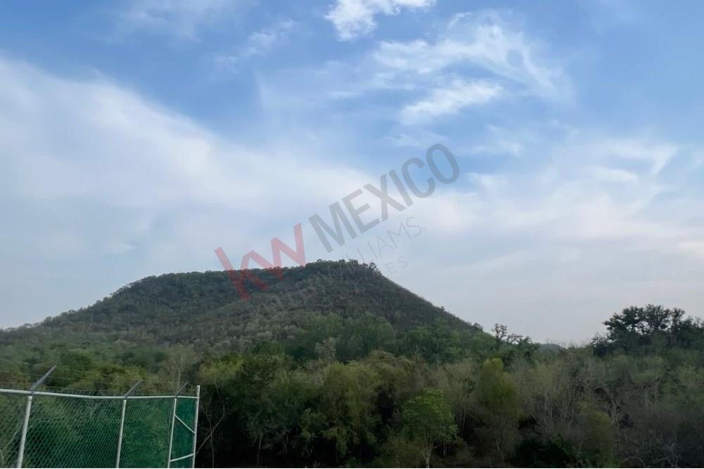 Imagen 4 de 5