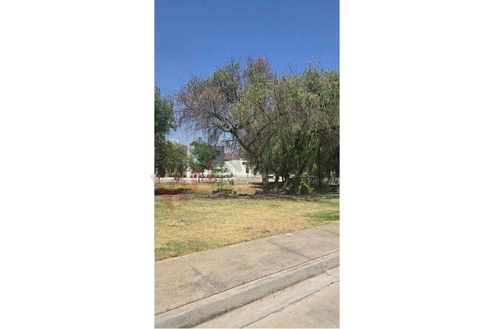 Imagen 4 de 4