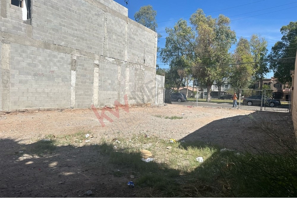 Imagen 4 de 5