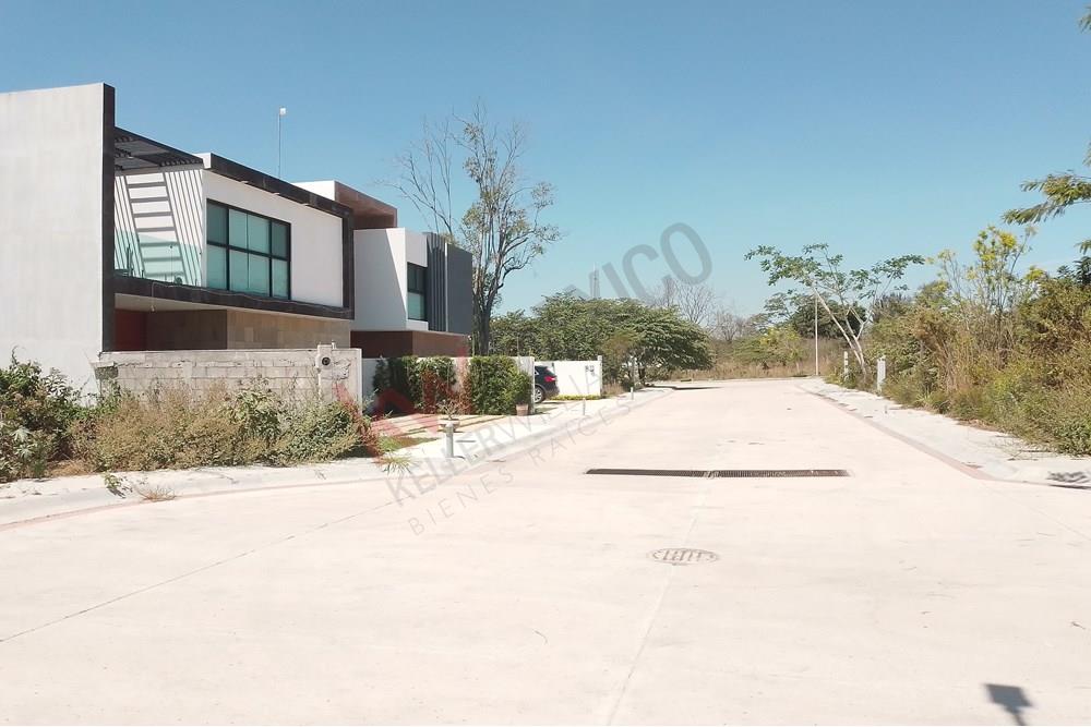 Imagen 5 de 5
