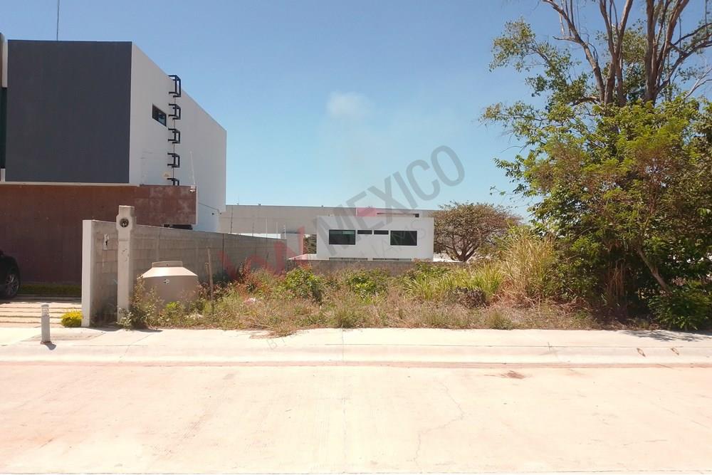 Imagen 4 de 5