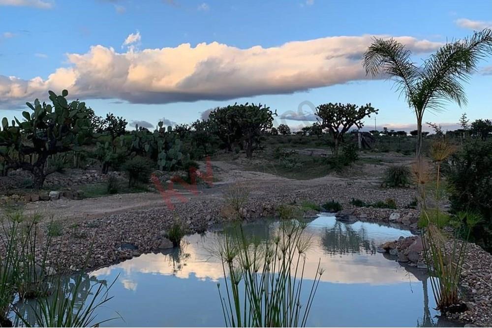 Águila Real Residencial: Creating a lifestyle enriched with harmony, nature, and community