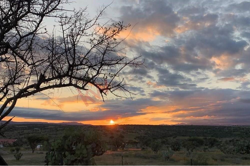 Águila Real Residencial: Creating a lifestyle enriched with harmony, nature, and community