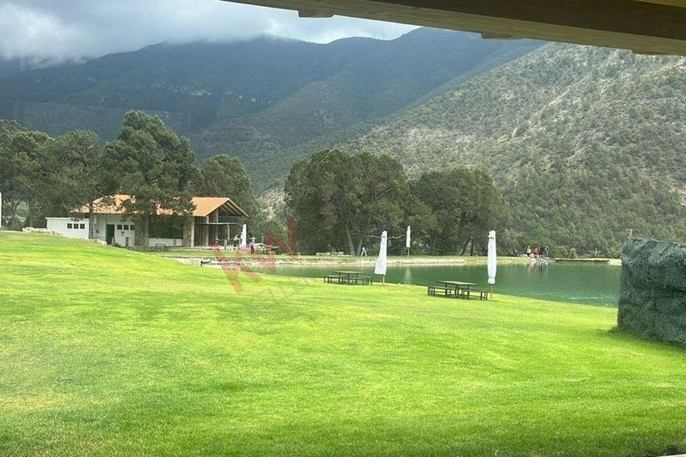 Imagen 3 de 5