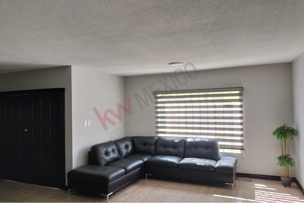 Imagen 3 de 5