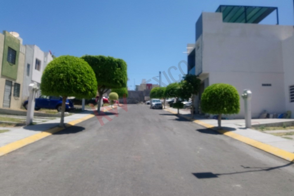 Imagen 3 de 5
