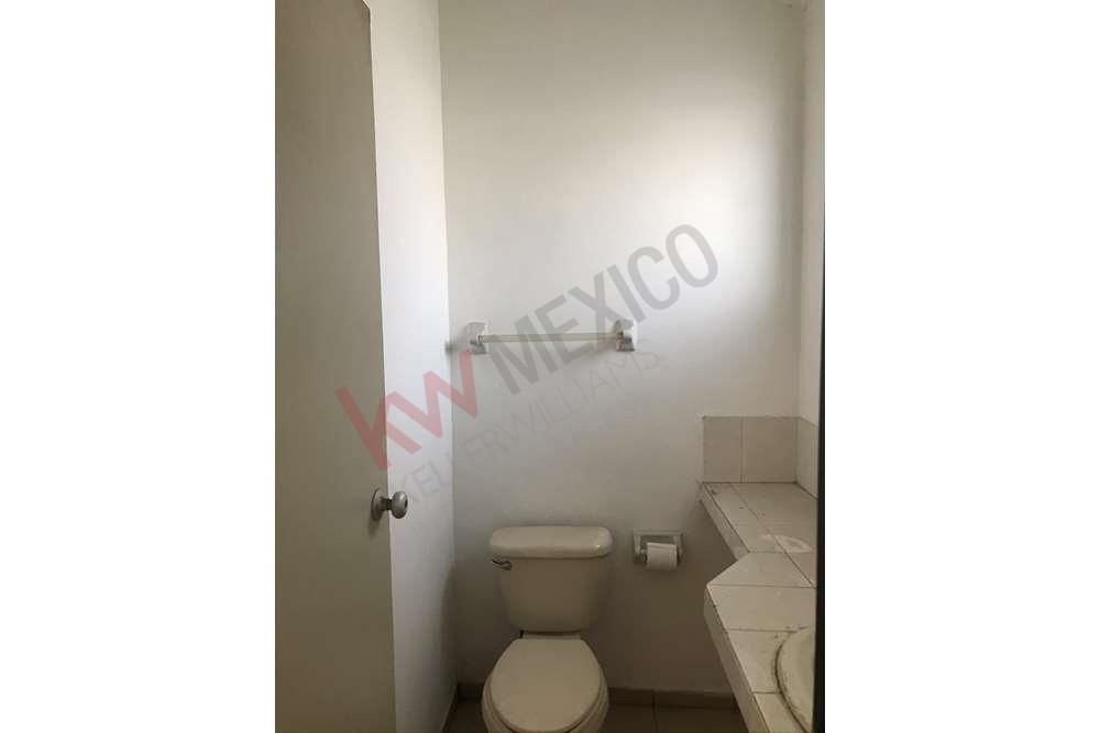 Imagen 4 de 5