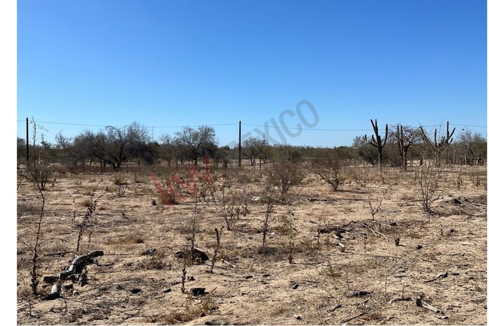 Imagen 5 de 5