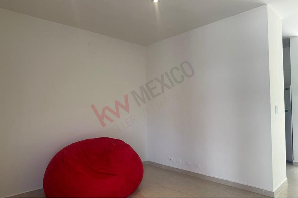 Imagen 3 de 5