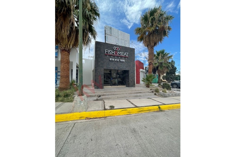 Imagen 3 de 5