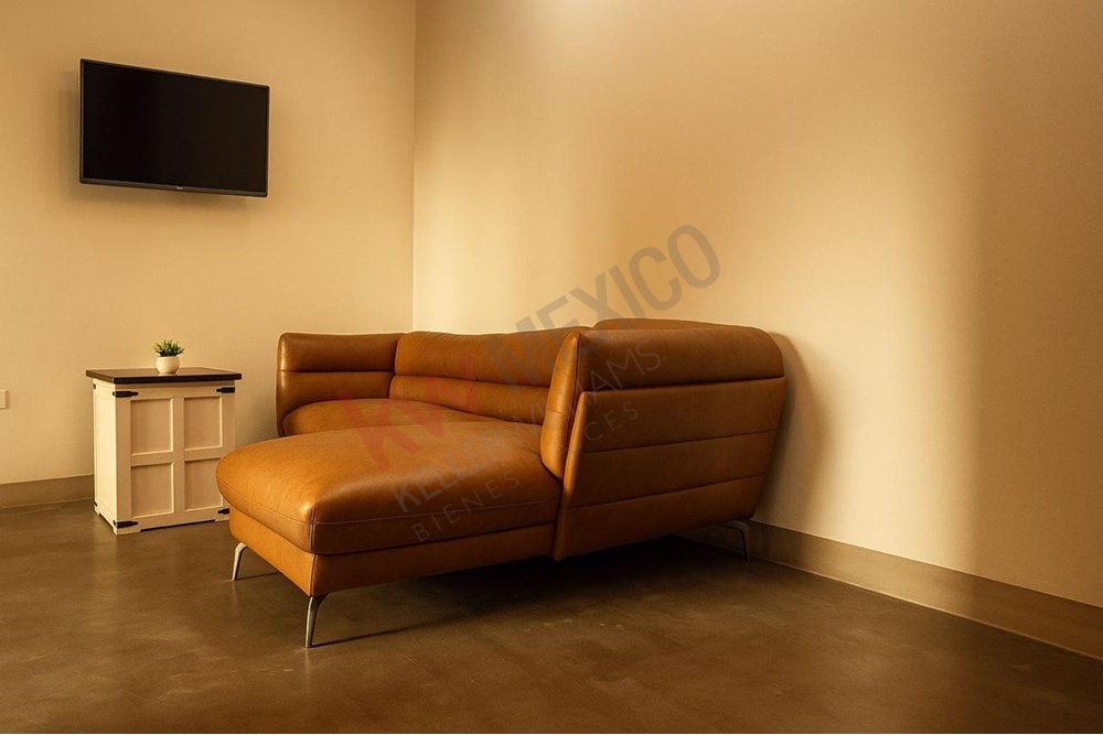 Imagen 3 de 3