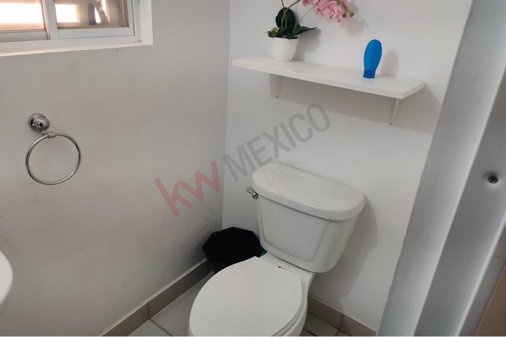 Imagen 4 de 5