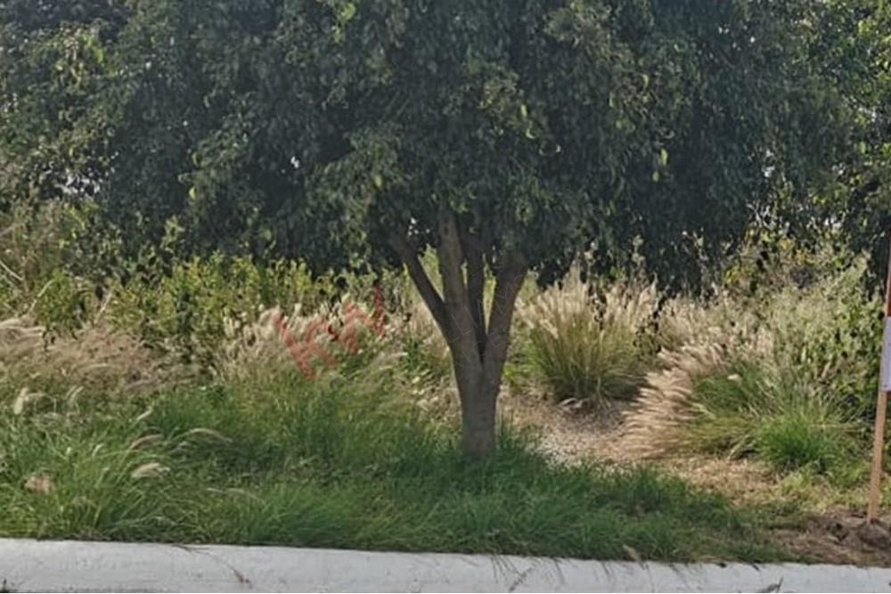 Terreno en Venta en Vista Real, Corregidora, Querétaro con MAVA Inmobiliaria