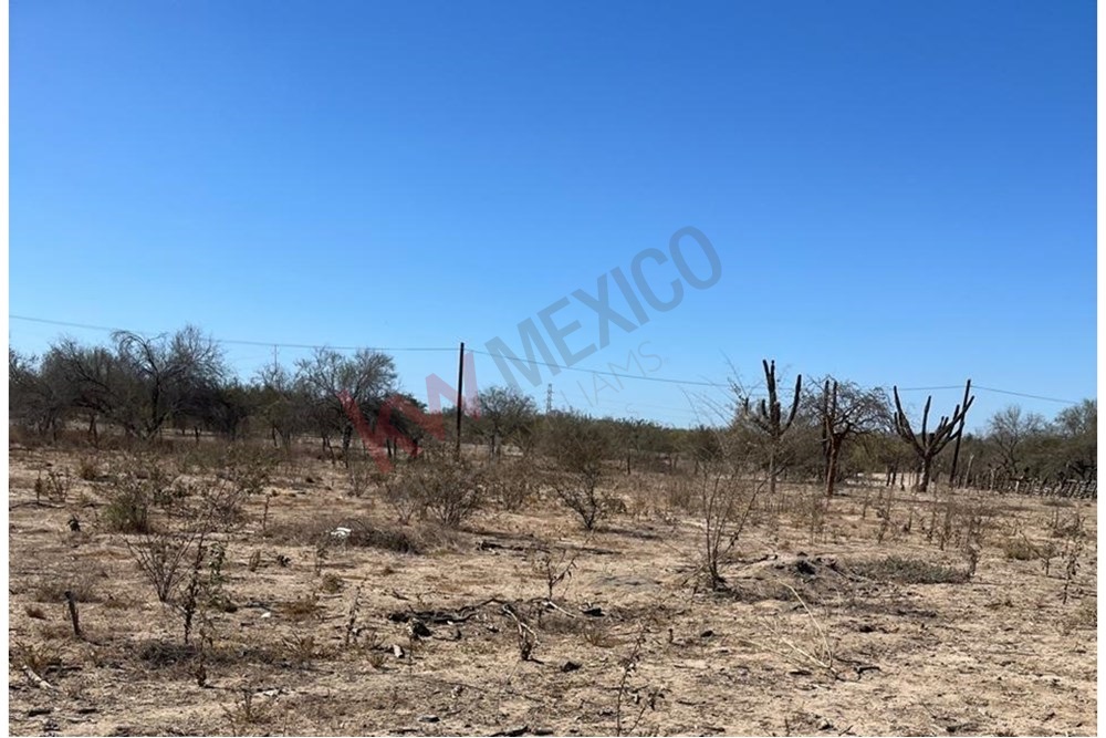 Imagen 4 de 5