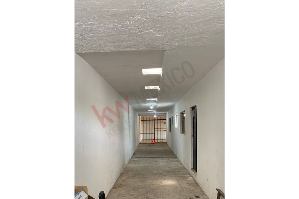 Imagen 3 de 5
