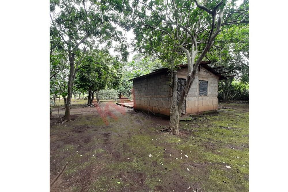 Se vende Terreno ideal para urbanizar en ¡Carretera Masaya!