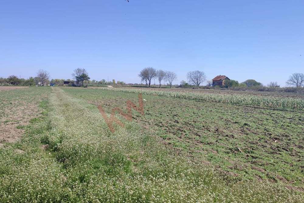 Agricultural land   For Sale, Put za Crvenku, Palilula, Beograd, Serbia, 123.000 €
