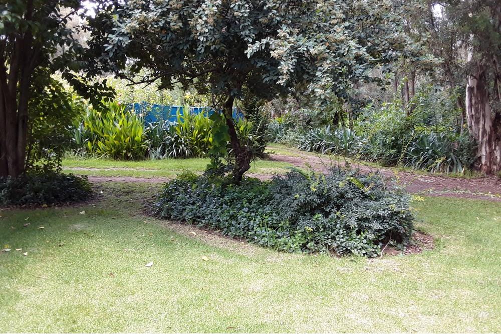 4 Hectare Fish Farm With 4 Houses Plus Kraals, Rabbit Hatchery, Natural