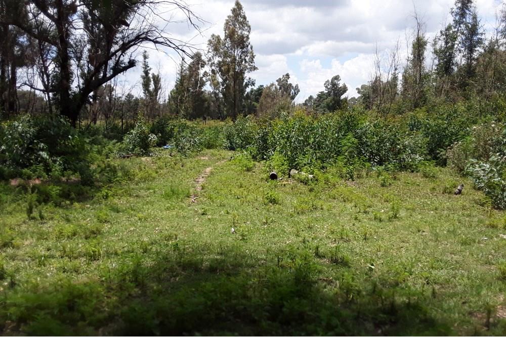 4 Hectare Fish Farm With 4 Houses Plus Kraals, Rabbit Hatchery, Natural