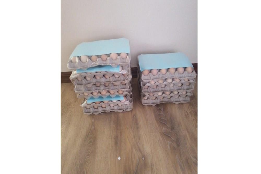 Farm For Sale in Radium Bela Bela