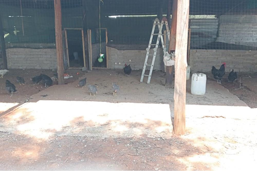 Farm For Sale in Radium Bela Bela