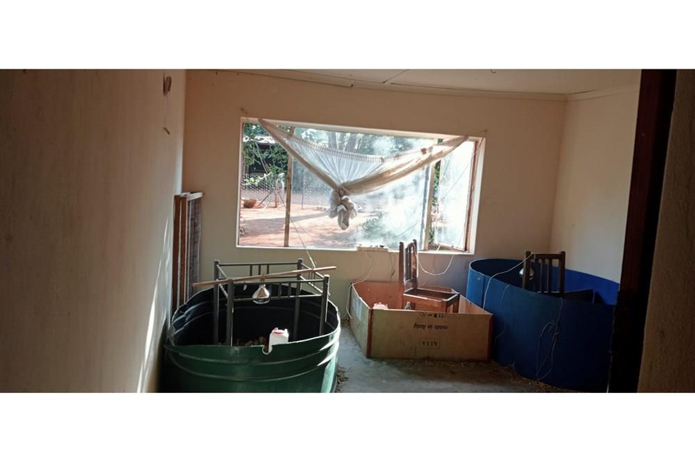 Farm For Sale in Radium Bela Bela