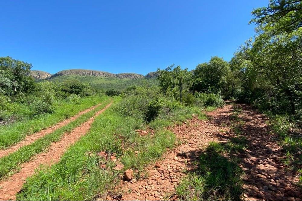 Farm For Sale in Radium Bela Bela