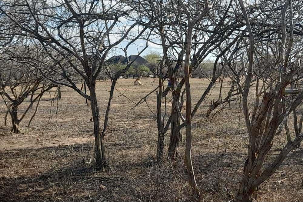 Double stand with parkland For Sale on Seekoei street in Marloth Park