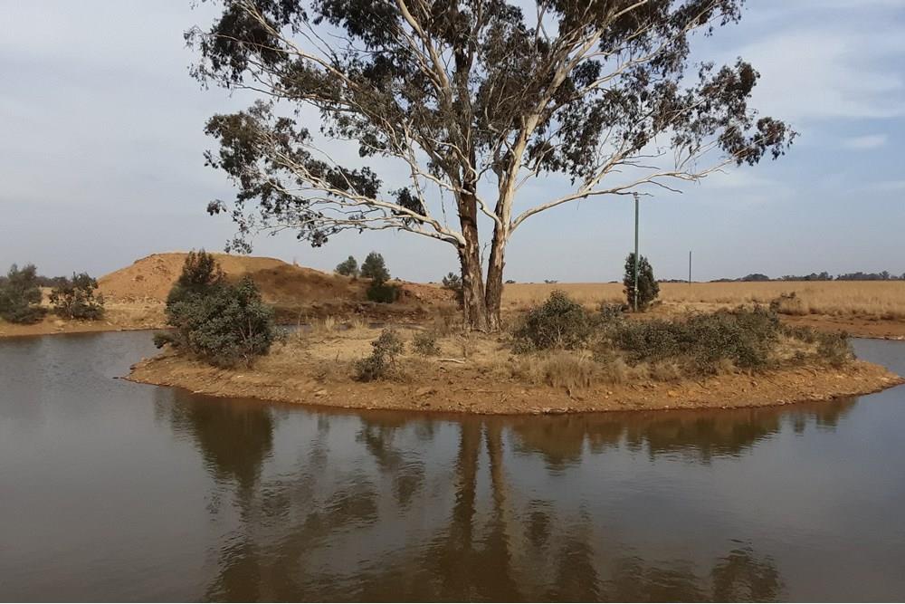 122 Hectare Executive Farm With 2 Houses and 3 Warehouses For Sale in