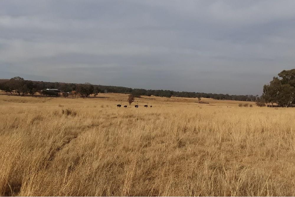 122 Hectare Executive Farm With 2 Houses and 3 Warehouses For Sale in