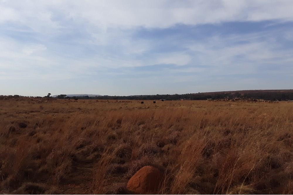 122 Hectare Executive Farm With 2 Houses and 3 Warehouses For Sale in