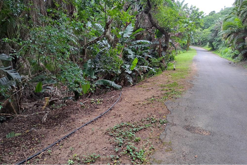 Marina Beach has a secure and peaceful environment.
