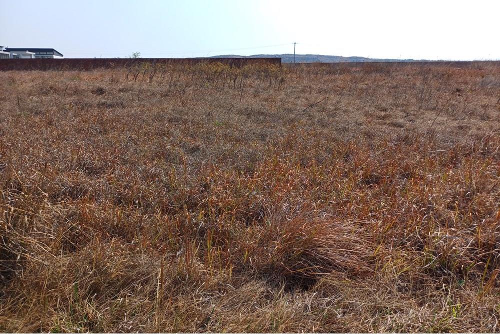 Vacant stand for sale at give away price!