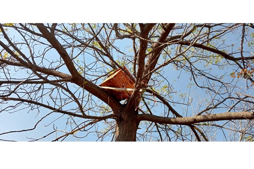 4 bedroom Farm For Sale In Radium Bela Bela For farming