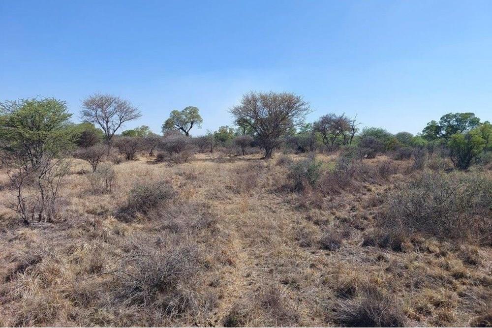 Vacant land in Ditholo Wildlife Estate between Bela Bela and Thabazimbi