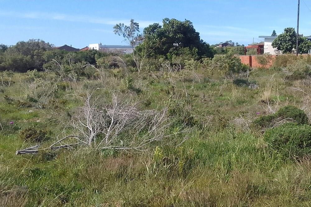 Vacant Land For Sale Paradise Beach, Jeffreys Bay