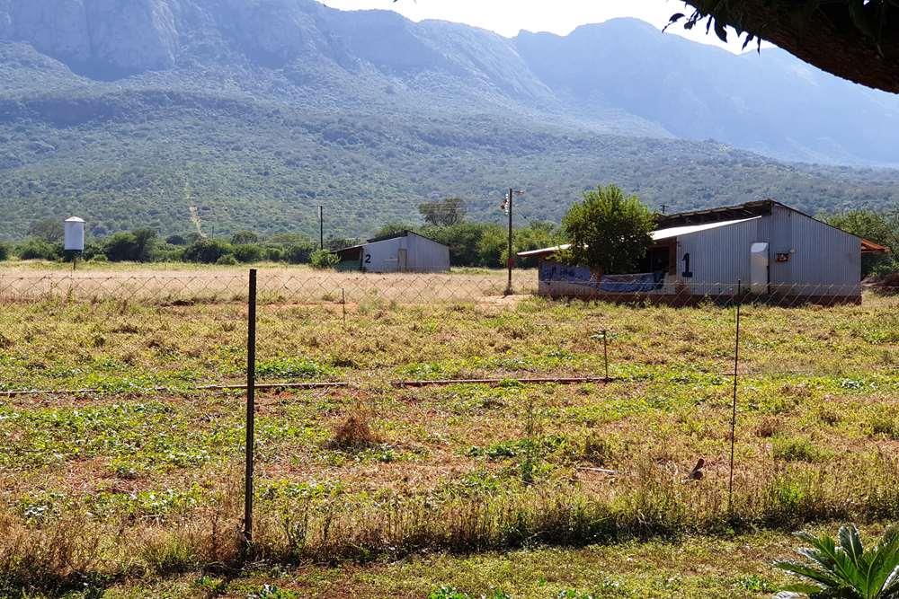 42 Ha Chicken Farm for sale in Louis Trichardt