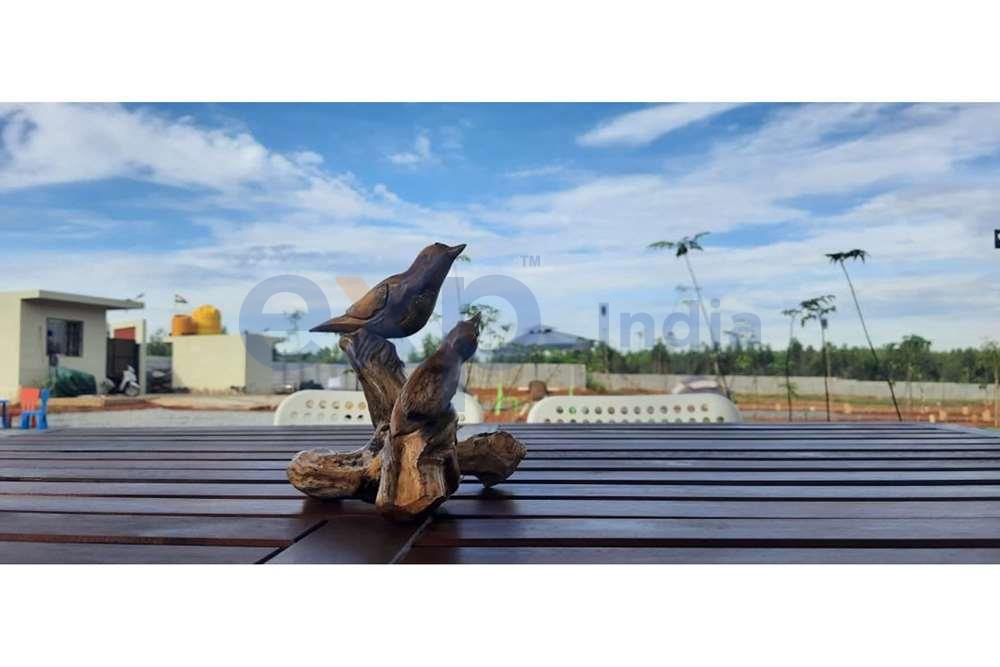 Managed Farm Land for Sale in Hoskote