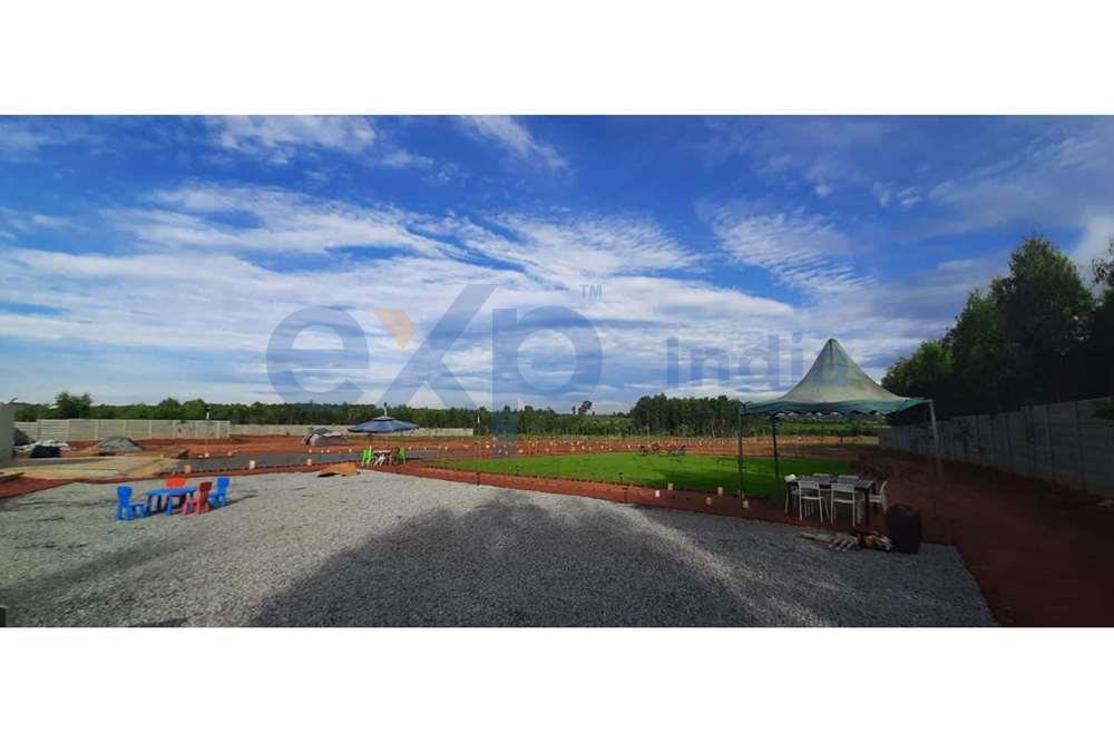 Managed Farm Land for Sale in Hoskote