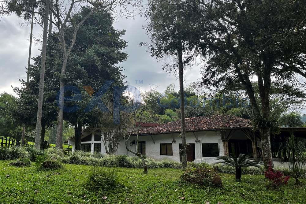 VENTA DE FINCA GANADERA EN EL QUINDIO, COLOMBIA