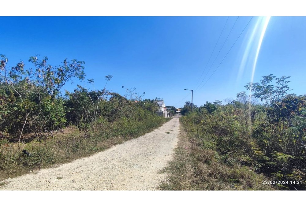 Property view 4