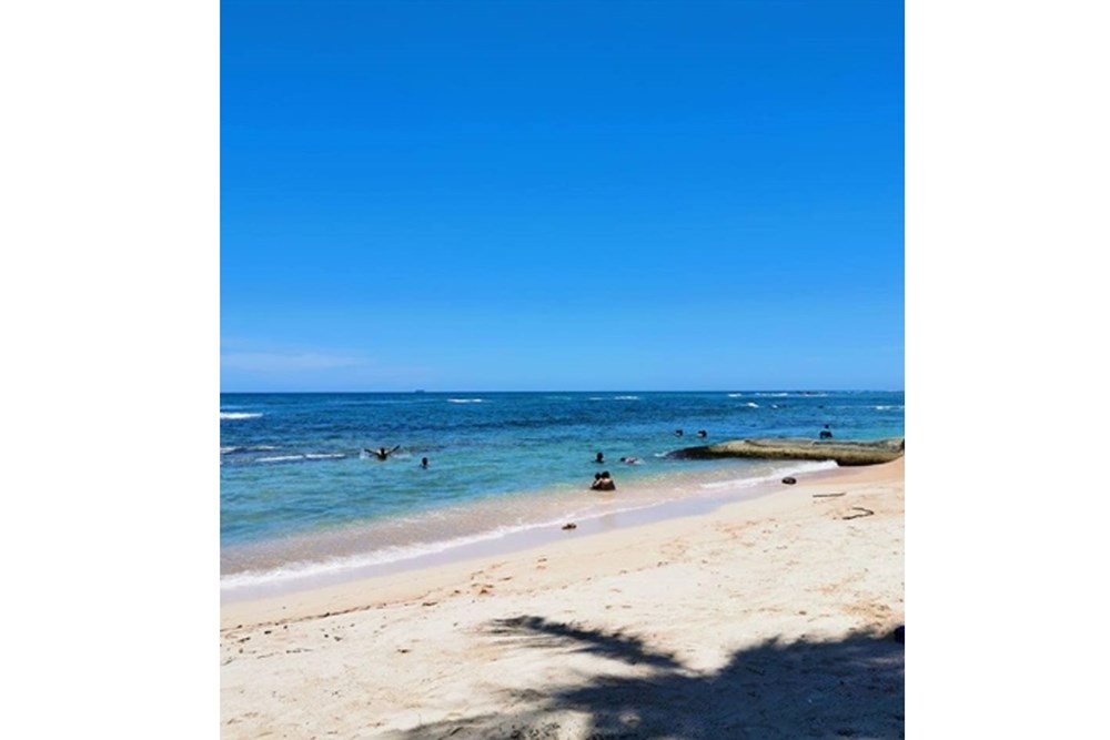 Property view 6