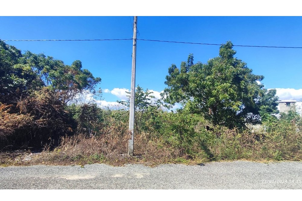 Property view 1