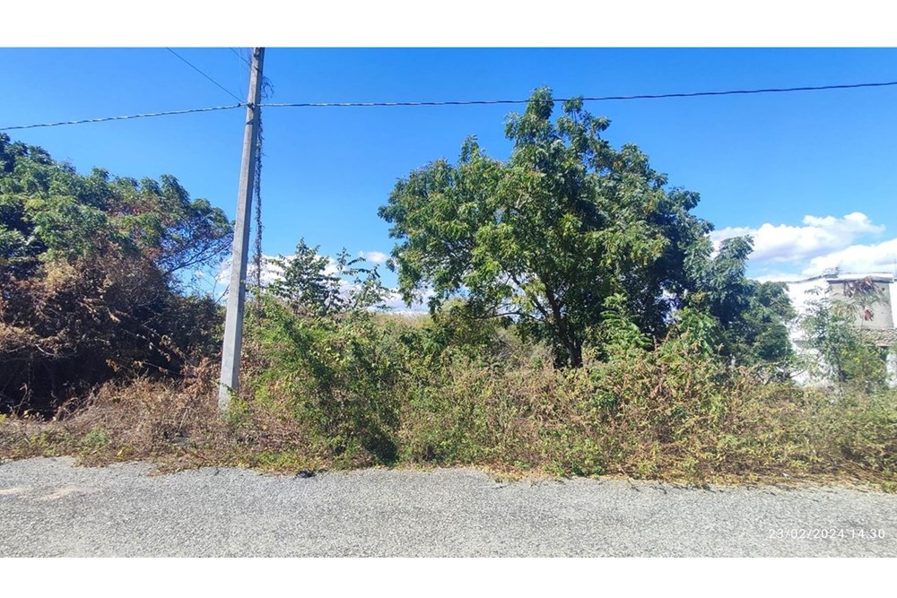 Property view 3