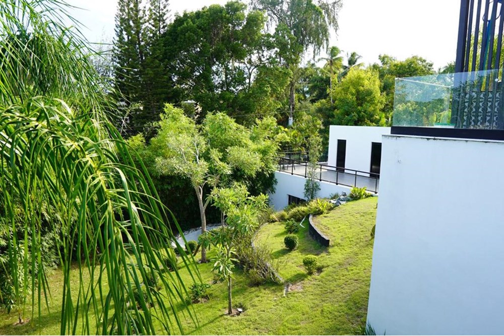 Property view 20